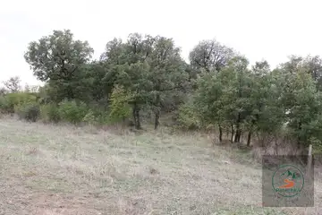 Тракийска гробница Александрово (Хасково) - 2