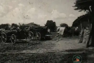 Алфатар – спокойна разходка и местна атмосфер - 1