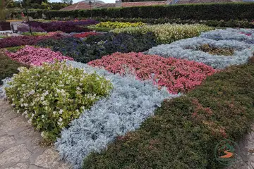 Дворецът в Балчик – градини и гледки - 3