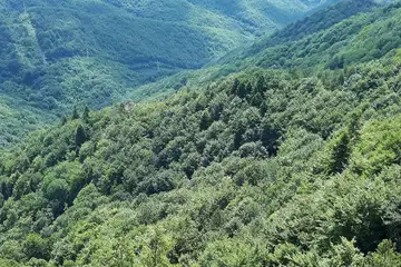 Бекови скали - 1