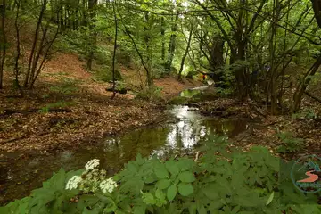 Сините камъни – Карандила - 3