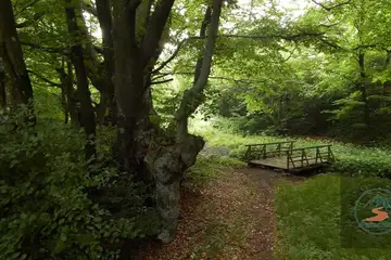 Сините камъни – Карандила - 5