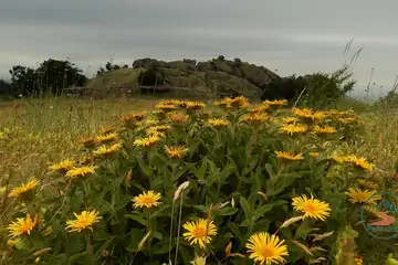 Сините камъни – Карандила - 6