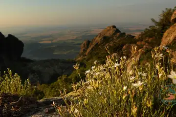 Сините камъни – Карандила - 7