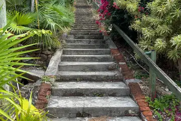 Богородична стъпка - 1