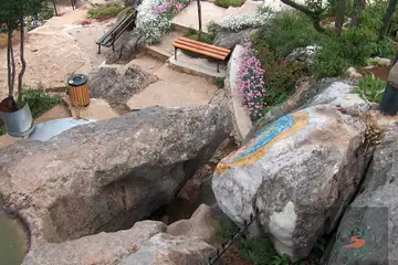 Богородична стъпка - 5