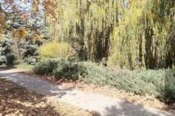 Парк “Борово око” – Търговище - 1