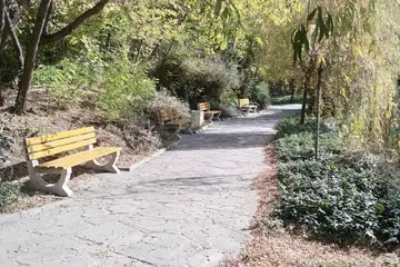 Парк “Борово око” – Търговище - 2