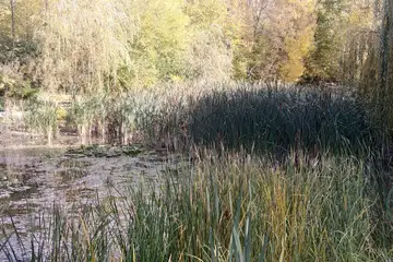 Парк “Борово око” – Търговище - 3