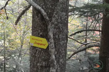 Каньонът на водопадите (Смолян) - 6