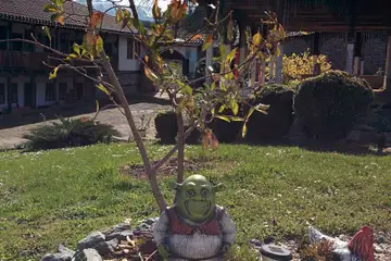 Чипровски манастир (Монтана) - 5