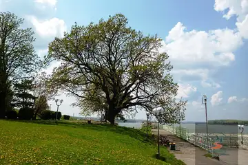 Дунавски парк – Силистра - 6