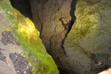 Пещера Дяволското гърло (Триград) - 1