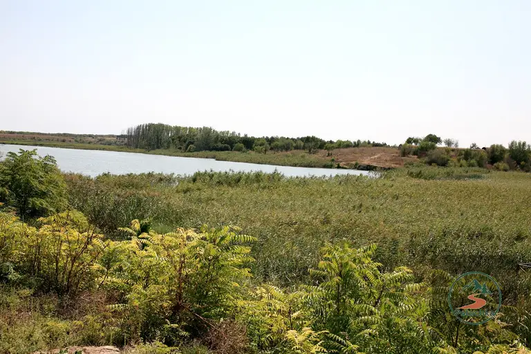 Дуранкулашко езеро