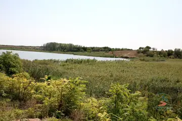 Дуранкулашко езеро - 2