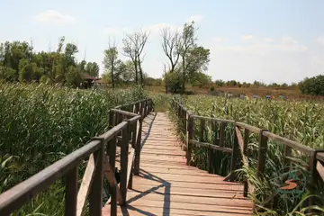 Дуранкулашко езеро - 6