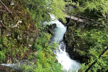 Екопътека "Бяла река" - 2