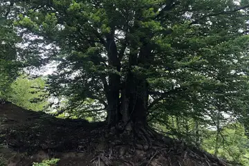 Екопътека "Бяла река" - 3