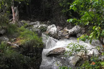 Ждрелото на река Ерма – Трън - 5