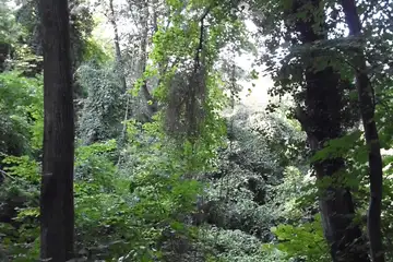 Парк “Златни пясъци” – природни пътеки - 4