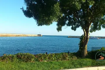 Парк “Златни пясъци” – природни пътеки - 7