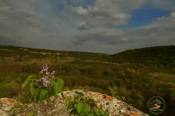 Ивановски скални църкви – маршрути и гледки - 3