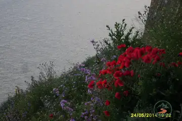 Калиакра - 4