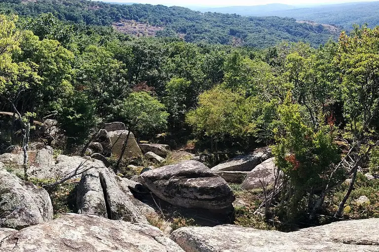Резерват Ропотамо (Бургас)