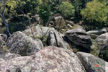 Резерват Ропотамо (Бургас) - 4