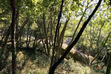 Резерват Ропотамо (Бургас) - 5