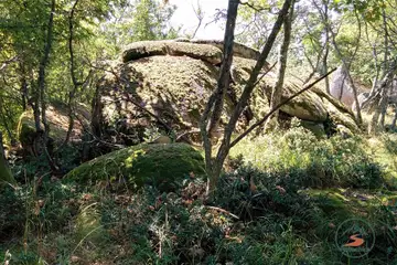 Резерват Ропотамо (Бургас) - 7