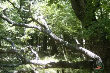 Резерват Ропотамо - 7