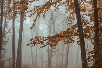 Природен маршрут на Шуменското плато – семейн - 1