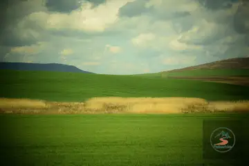 Природен маршрут на Шуменското плато – семейн - 5