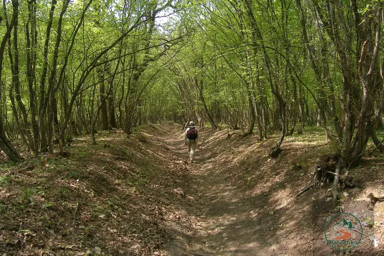 Шуменско плато – Кьошковете (разходка и гледк