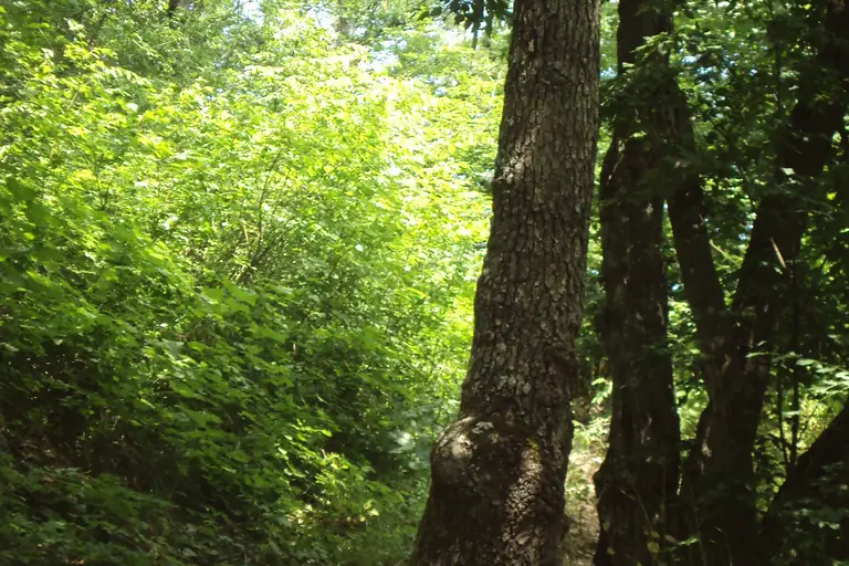 Пещера Снежанка