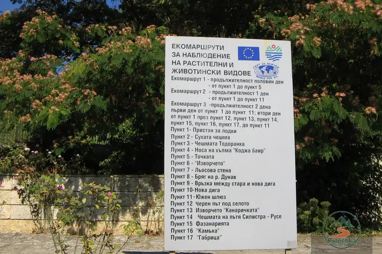 Природен резерват “Сребърна” – наблюдение на 