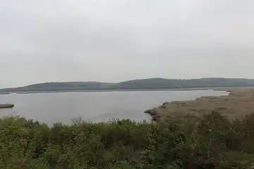 Сребърна - 6