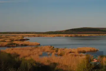 Сребърна - 7