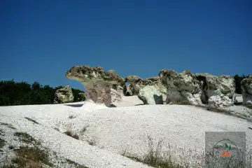 Каменните гъби (Кърджали) - 1