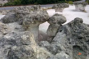 Каменните гъби (Кърджали) - 2