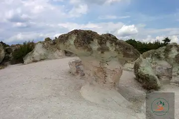 Каменните гъби (Кърджали) - 4