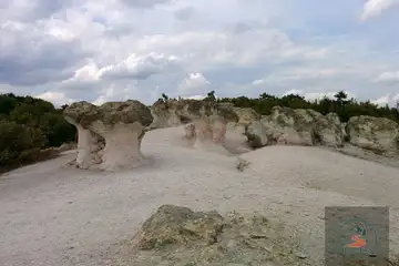 Каменните гъби (Кърджали) - 5