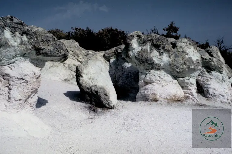 Каменни гъби