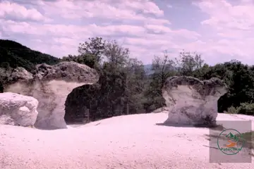 Каменни гъби - 1