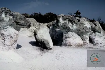 Каменни гъби - 2