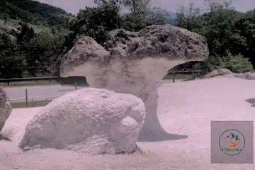 Каменни гъби - 3