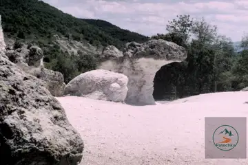 Каменни гъби - 4