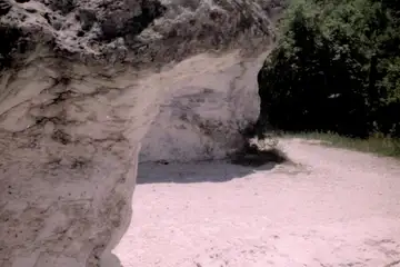 Каменни гъби - 5