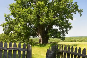 Странджа – източни маршрути (край Ямболско) – - 4